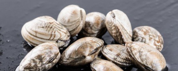 花蛤吃哪个部位不能吃