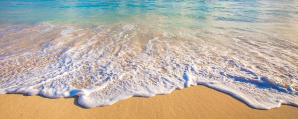 鼓浪屿被称为什么