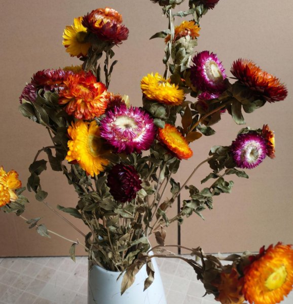 玫瑰花怎么保存成干花不变色