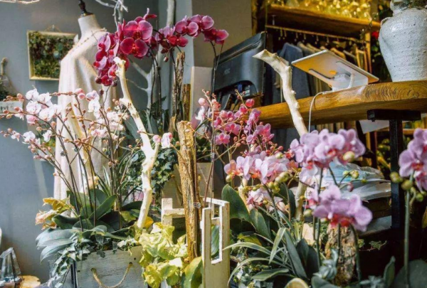 玫瑰花怎么保存成干花不变色