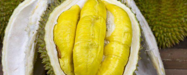 榴莲的储存方法