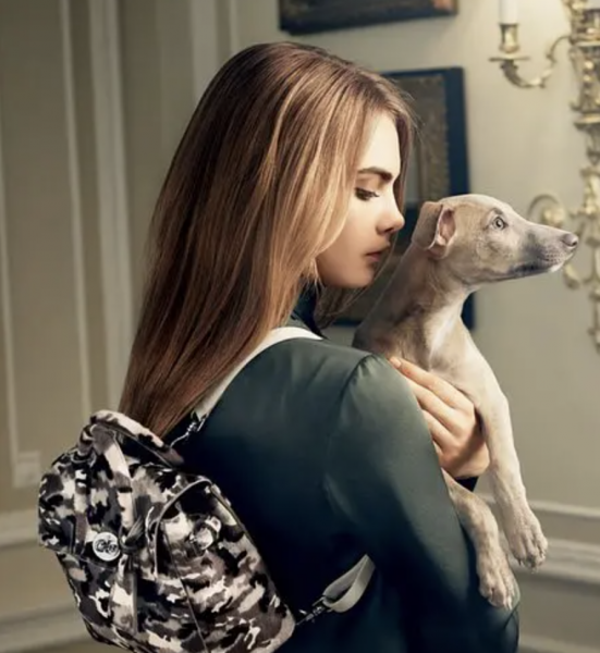 好看的美剧推荐