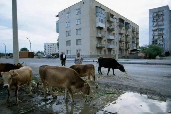 南奥塞梯人口和面积