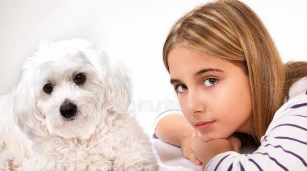 马耳他人口和面积数量情况