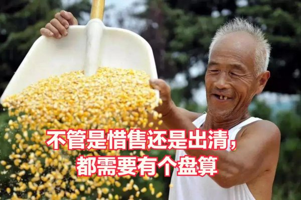 2023年粮价大涨马上就要来了吗