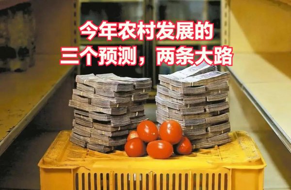 2023年粮价大涨马上就要来了吗