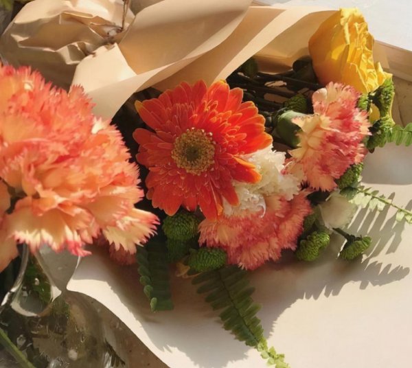 摩羯和金牛座配对指数分析