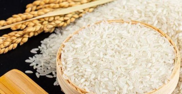 竹香米为什么是绿色