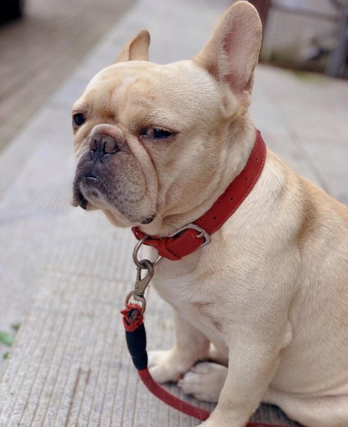 星座水逆是什么意思