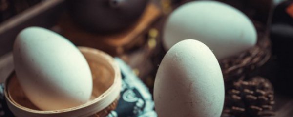 如何挑选新鲜鹅蛋