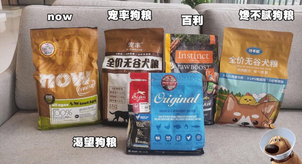 为什么德牧不能打