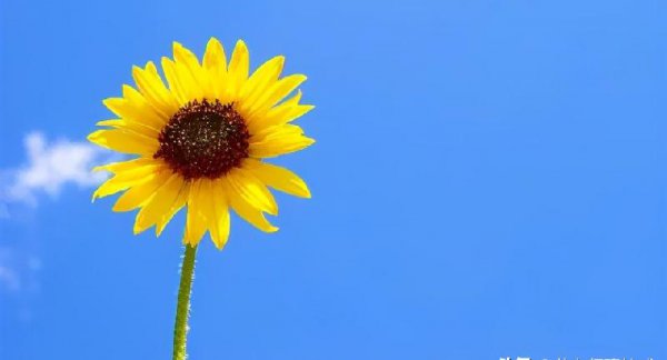 老婆出轨后最佳处理方式