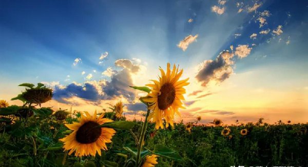 老婆出轨后最佳处理方式