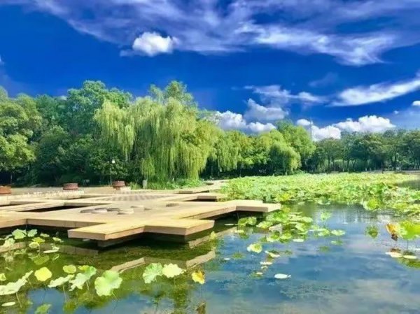 常州好玩的景点有哪些地方