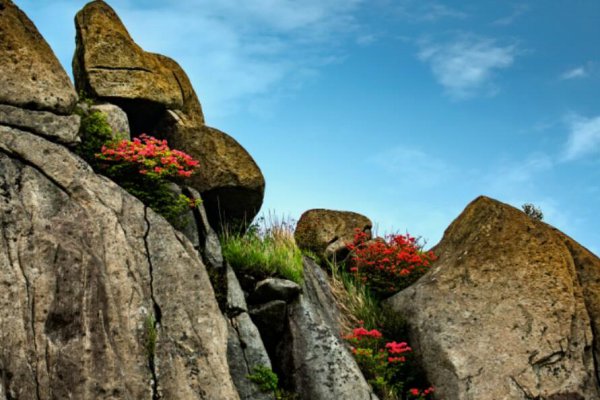 江西省丰城市属于哪个市