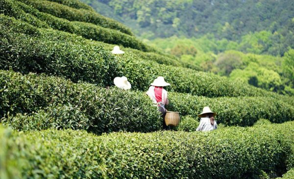 中国乡村未来发展的8个趋势
