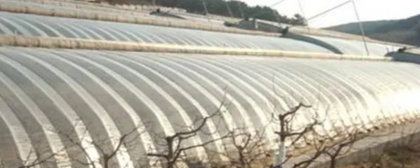 自己制作种植大棚方法