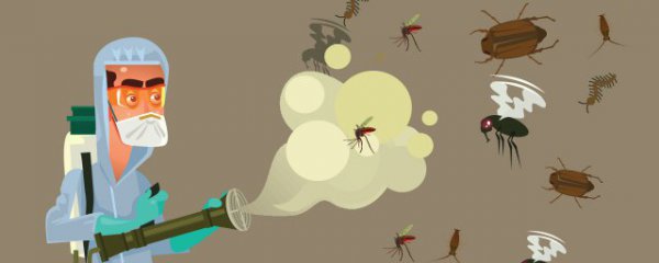 放什么东西赶走苍蝇