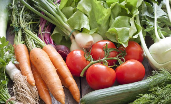 卖菜的利润大概在多少