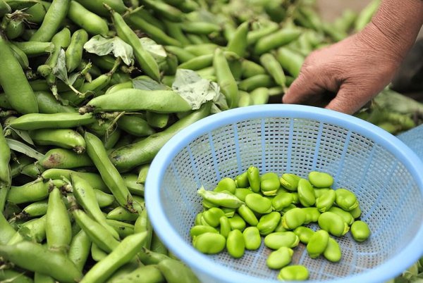 立夏吃什么美食