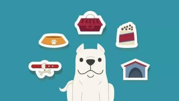 2023年什么行业发展前景好