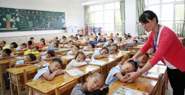 幼儿园和小学的区别是什么