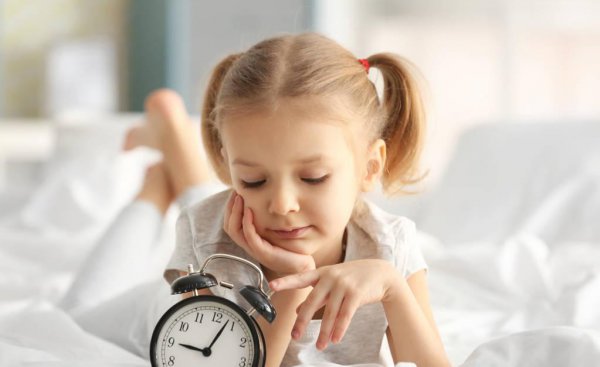 幼儿园和小学的区别是什么