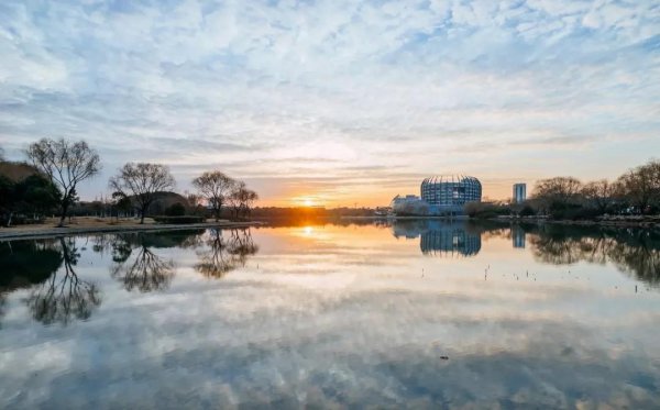 东华大学排名全国第几位
