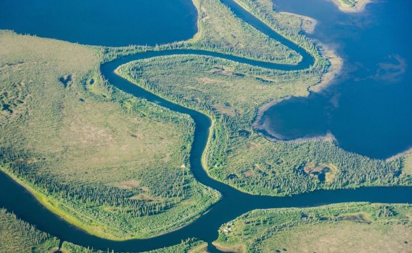 尼日利亚属于哪个洲