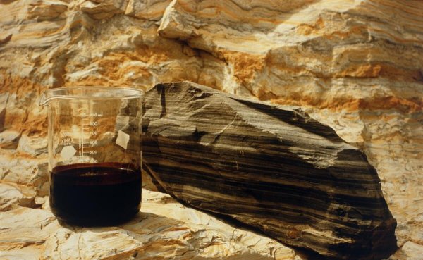 尼日利亚属于哪个洲