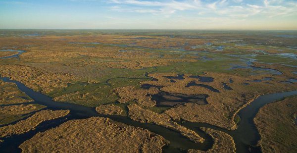 尼日利亚属于哪个洲