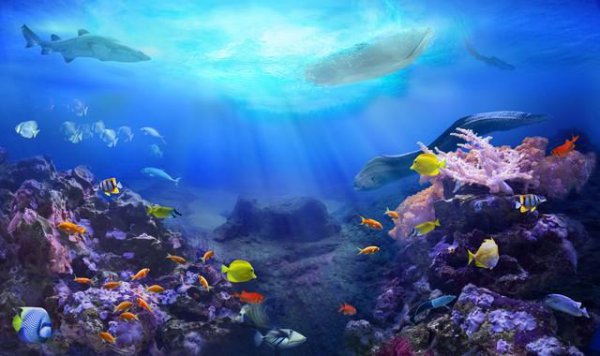 帕劳是什么国家