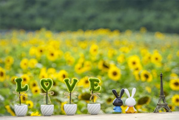 已婚女人招桃花的原因