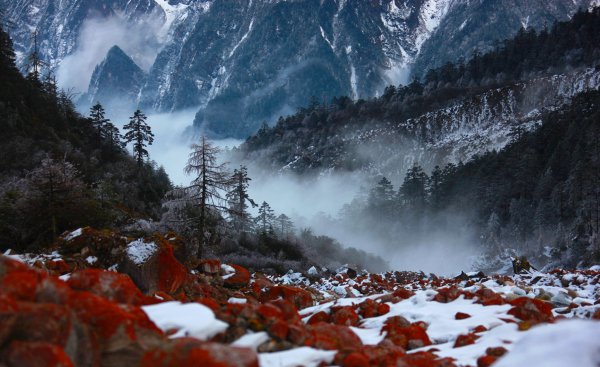 漠河北极村什么时候去最好