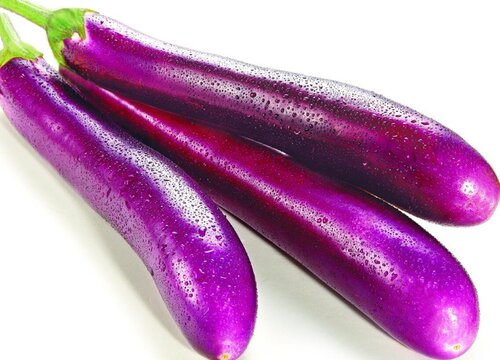 圆茄子和长茄子的区别