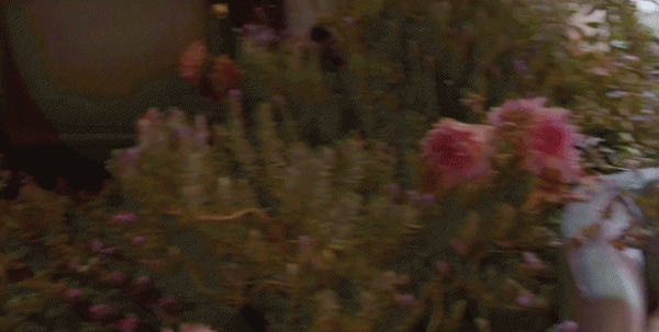 古驰最火的一款香水