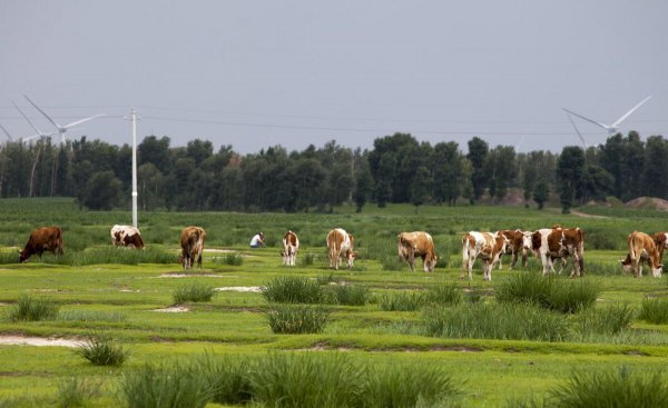 查日苏草原几月份好玩