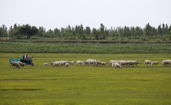 查日苏草原几月份好玩