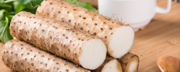 山药阳台种植方法