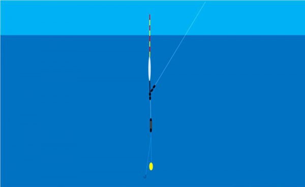 钓鲢鳙调漂操作方法