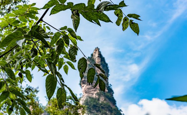 张家界旅游一般玩几天