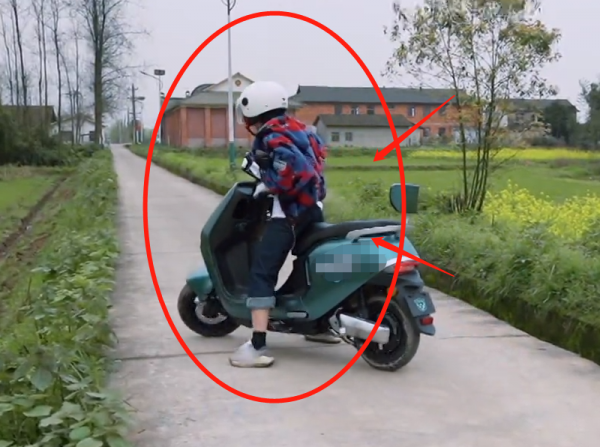 张子枫多高多重