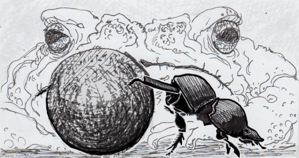 屎壳郎的特点和生活习性