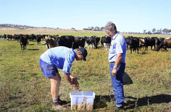 屎壳郎的特点和生活习性