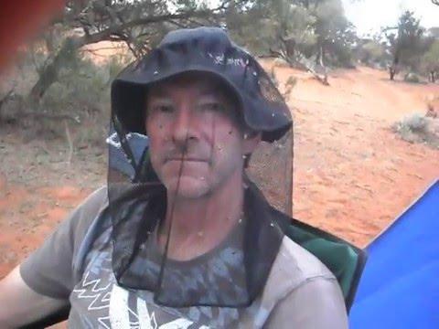 屎壳郎的特点和生活习性