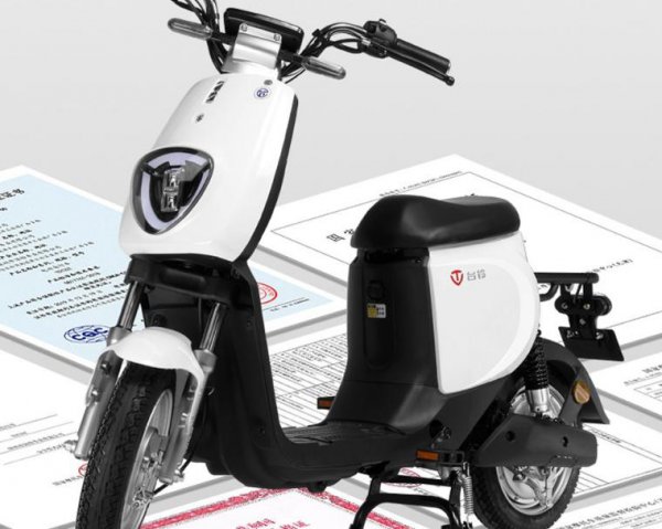 电动车排名前十名有哪几个