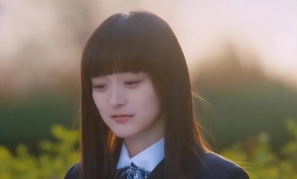 好看的电视剧青春偶像剧排行