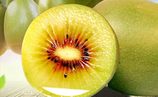 中国哪个地方的猕猴桃最出名