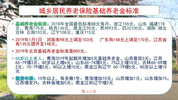 农村养老保险交哪个档次最划算