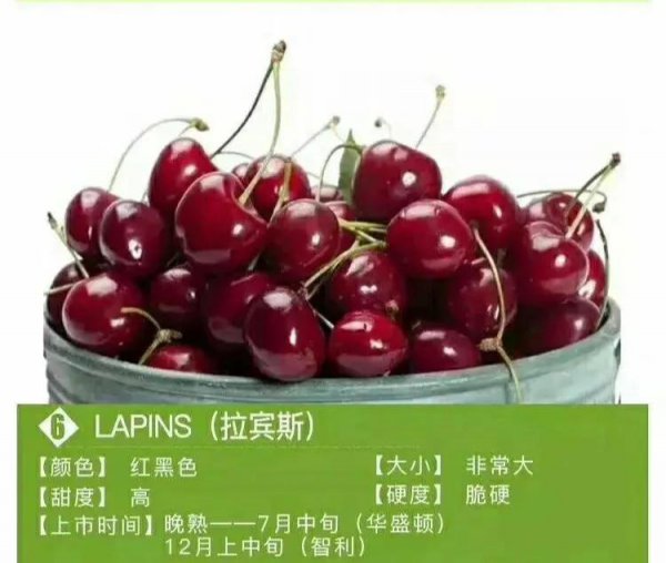 单j车厘子和双j车厘子的区别